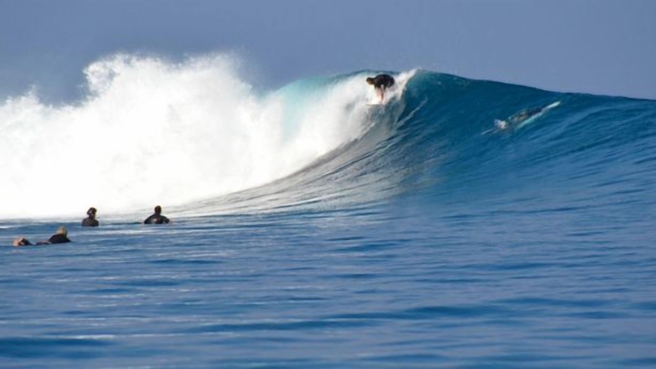 Photo of Others in Mana Island