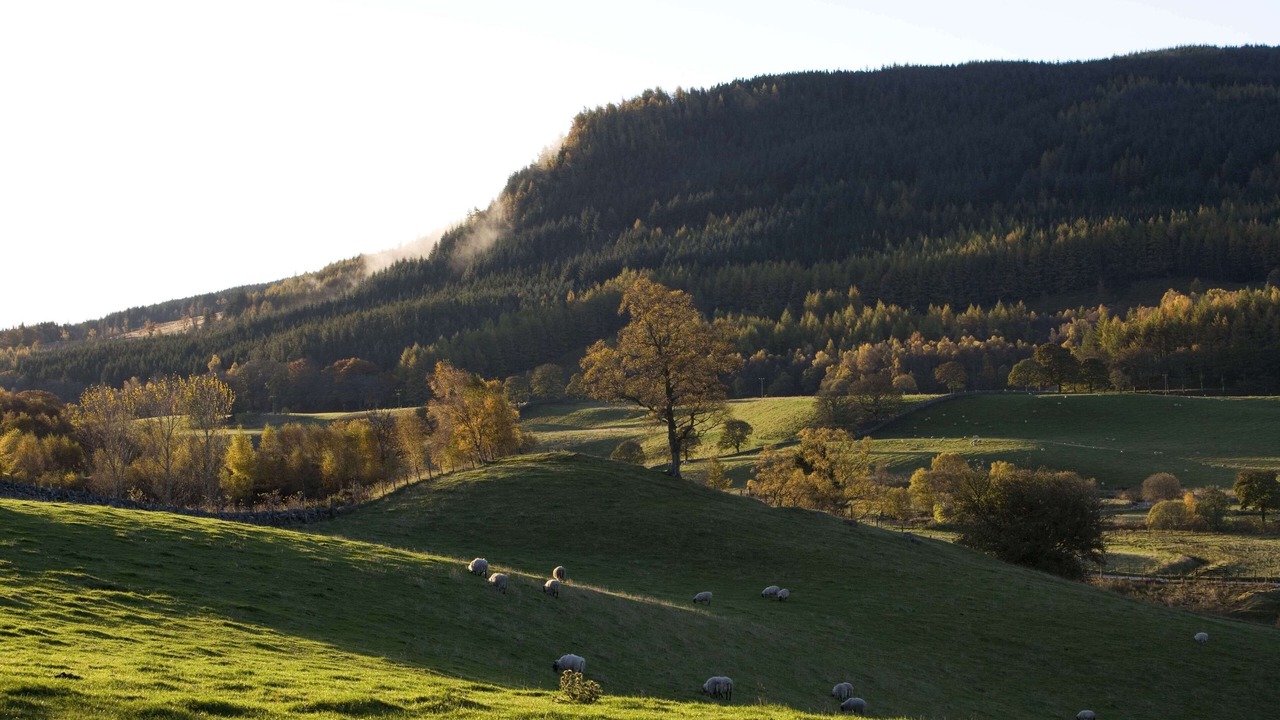 Photo of Outdoor in Blairgowrie