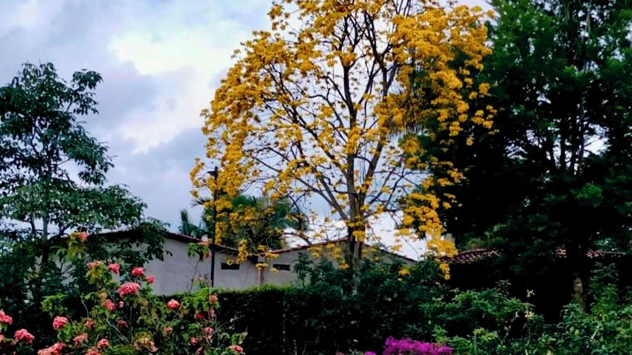 Photo of Outdoor in Cordoba