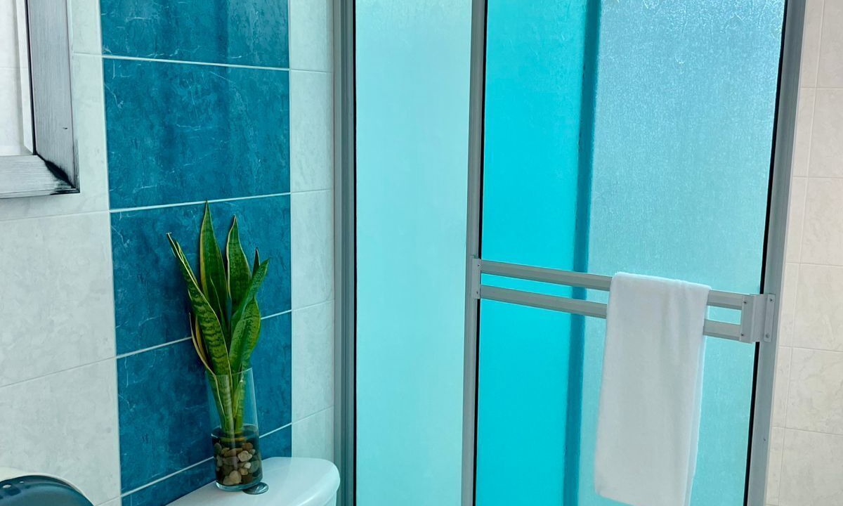 Photo of Bathroom in Punta Hansa