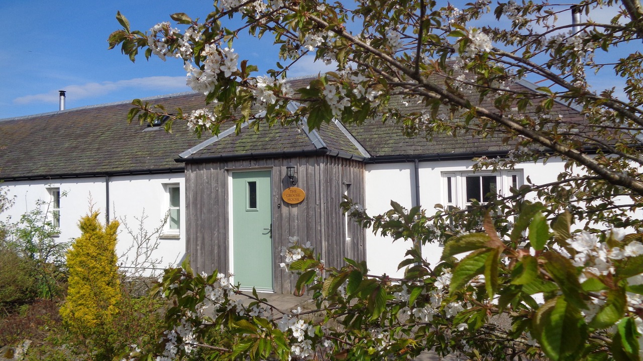 Photo of Bedroom in Blairgowrie