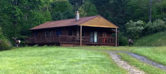 Private retreat in the middle of Elk country in Driftwood