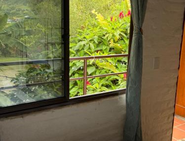 ecopolis hospedaje birding in Dagua